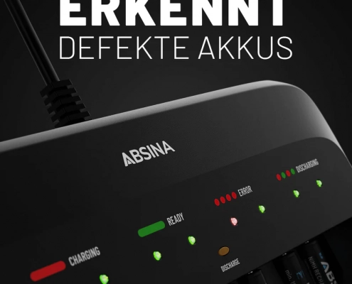 Akku Ladegerät 10-fach