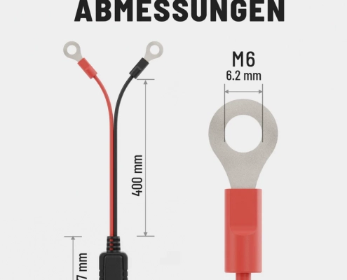M6